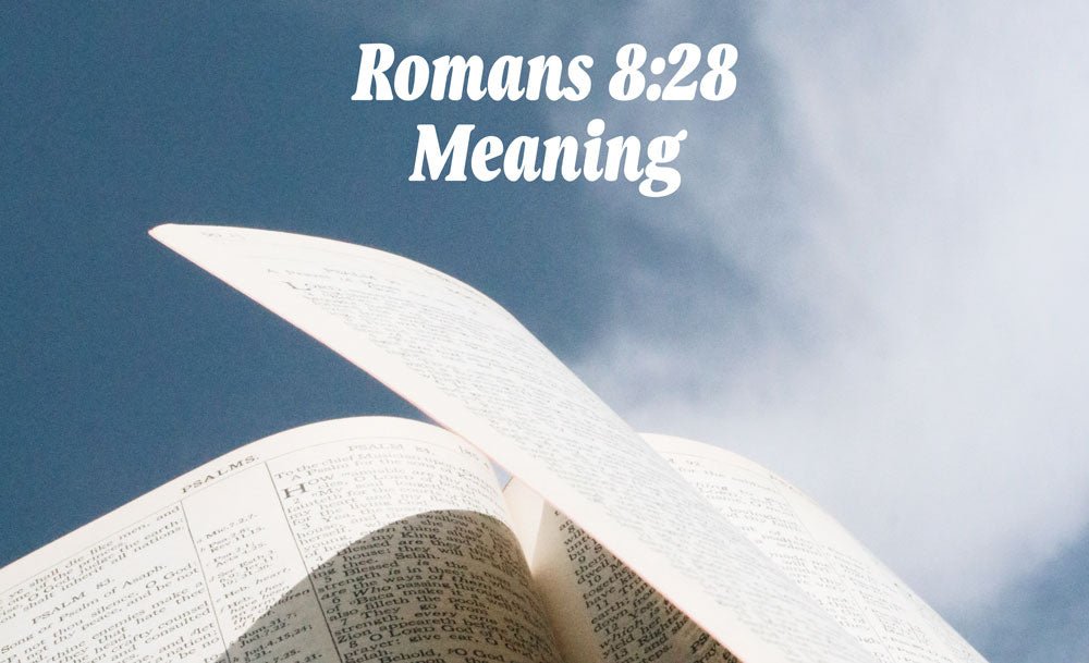 What does Romans 8:28 mean? - ForTheGood