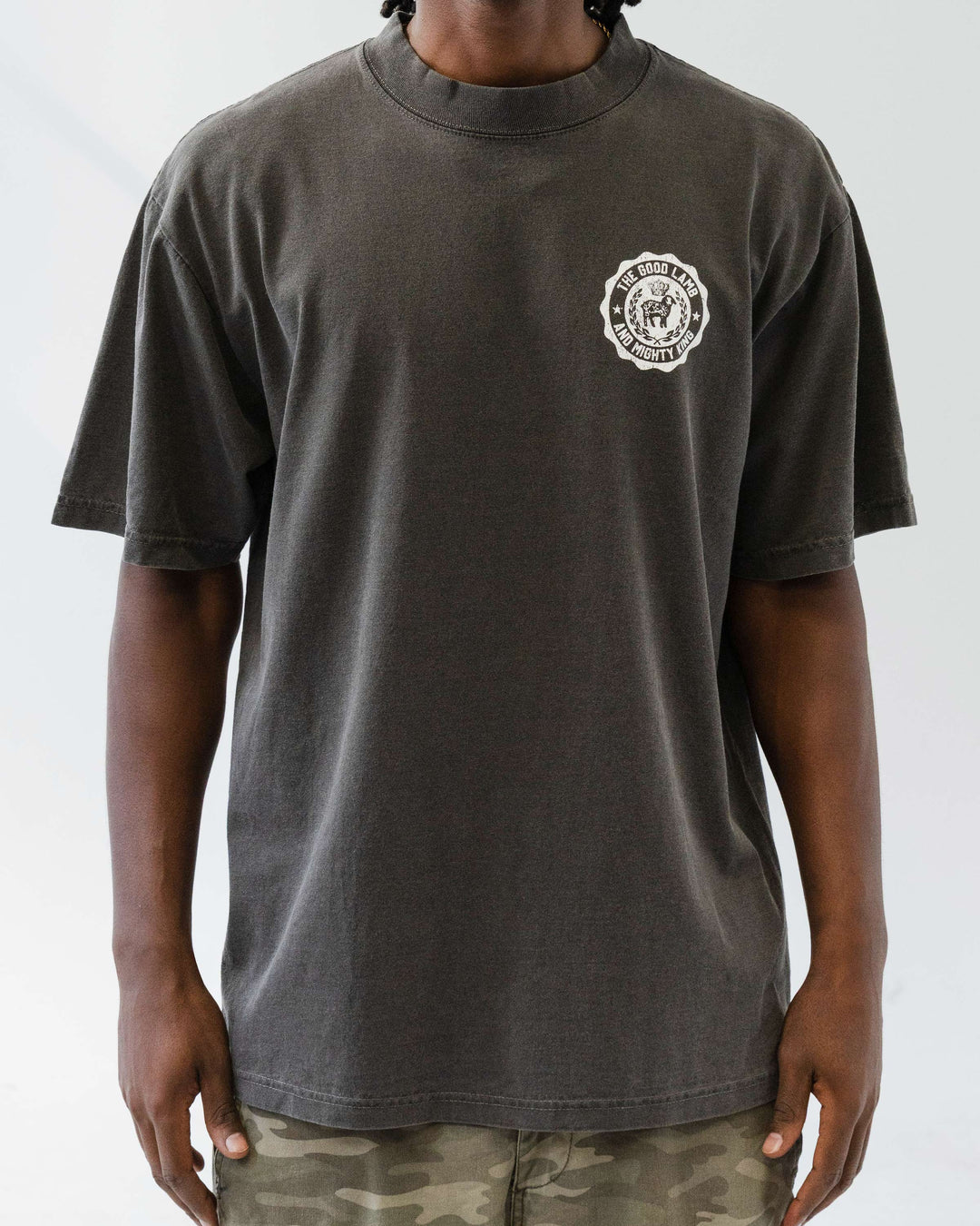 "Goodness Of Christ" Tee